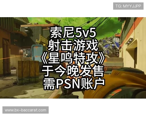 免费畅玩精彩对战 5v5射击游戏推荐 不容错过的经典大作