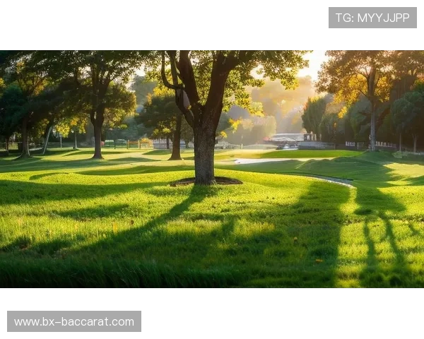 刚刚打完游戏出来晒太阳的对面视角,感受阳光与虚拟世界的完美切换 刚刚打完游戏出来晒太阳的对面视角,感受阳光与虚拟世界的完美切换